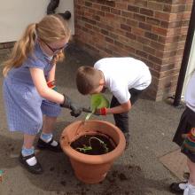 Class 3 Planting